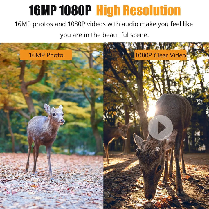 Waterproof Tavvitaimp18 outdoor wildlife camera, 16MP HD video, ideal for trail and security monitoring.