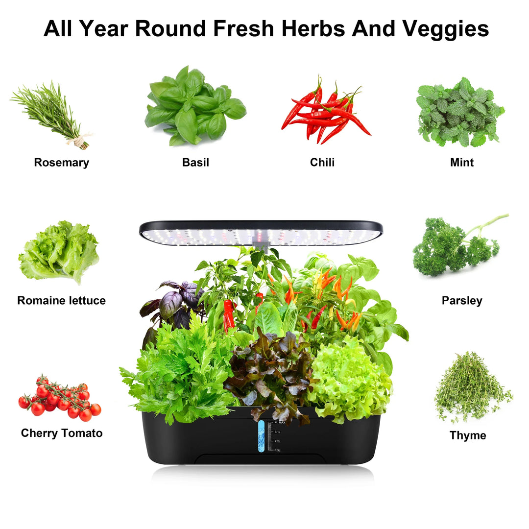 Compact indoor hydroponic herb garden for fresh herbs. Soilless smart garden with LED light & automatic timer.