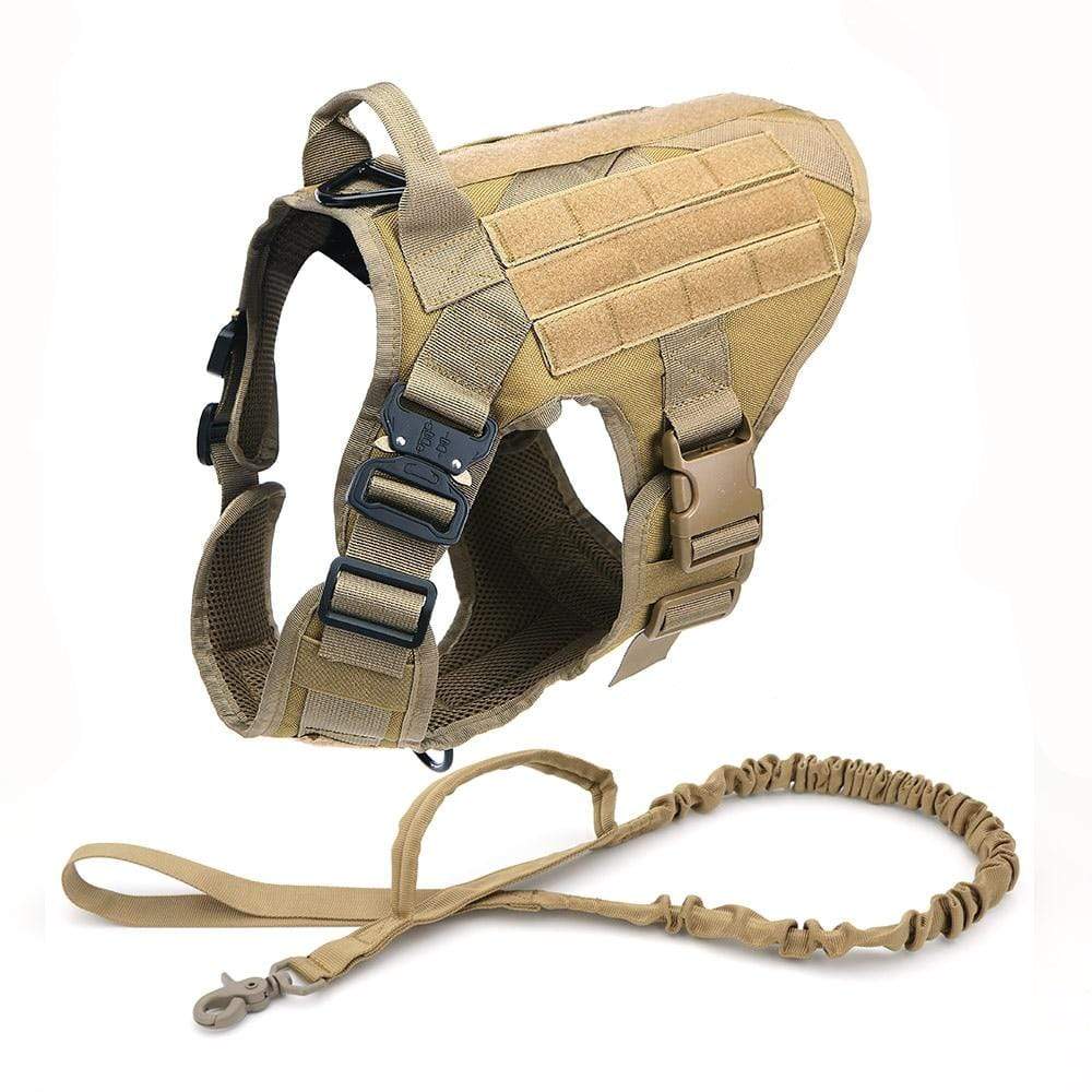 Front view of black tactical dog harness with metal buckles, designed for durability & control.