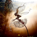Skylark